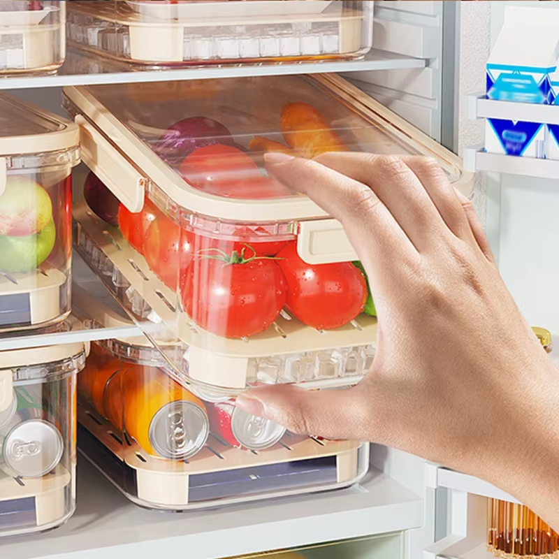 Easy to Carry Clear Food Container for Keeping Outdoor Meals Fresh
